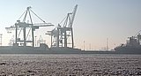 Container
